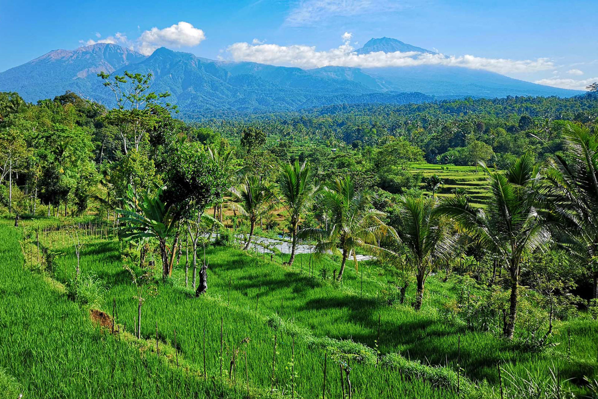 Tetebatu Soft Trekking Experience With Lunch in Lombok - Thumbnail 2