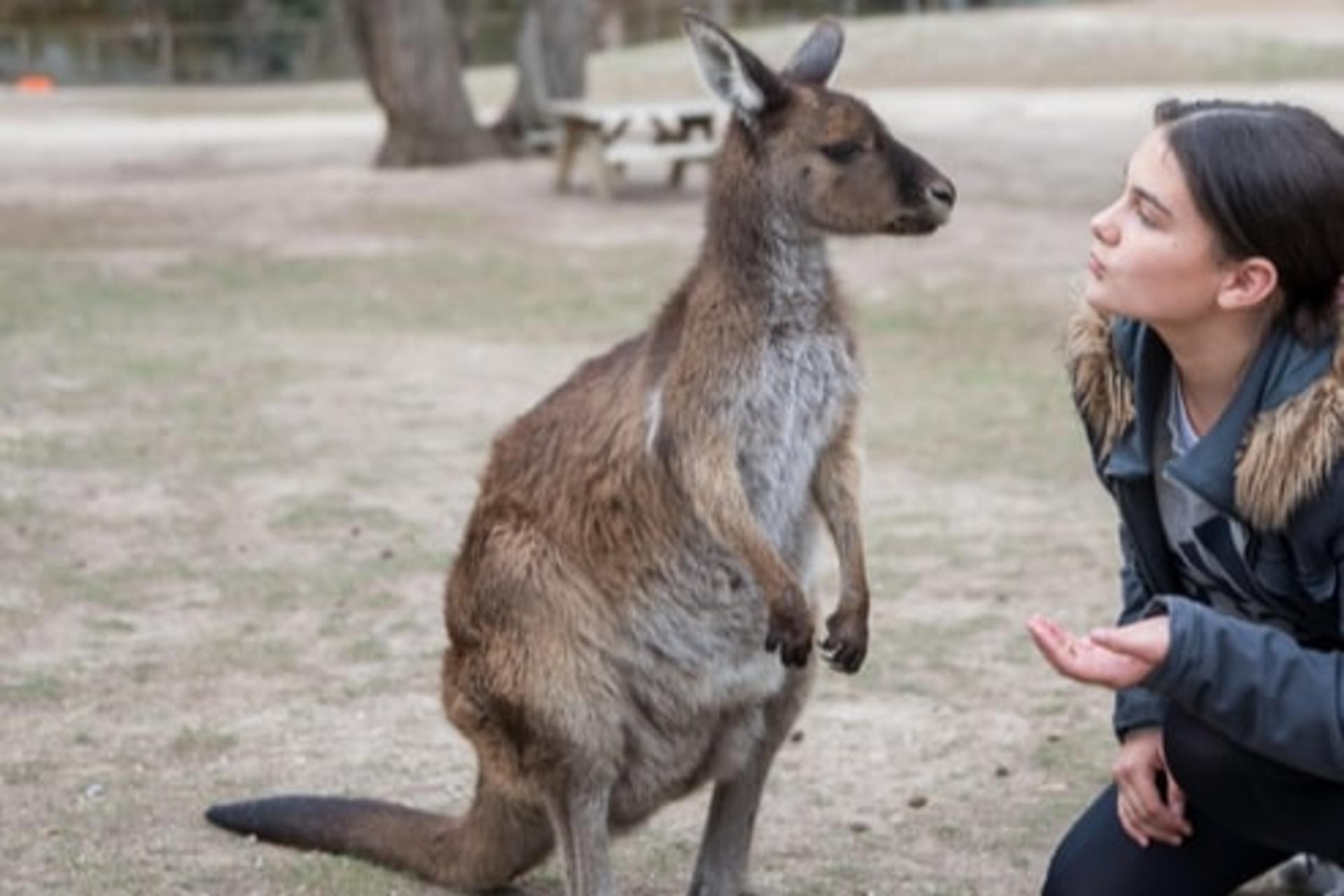 Ballarat Wildlife Park General Ticket - Thumbnail 2