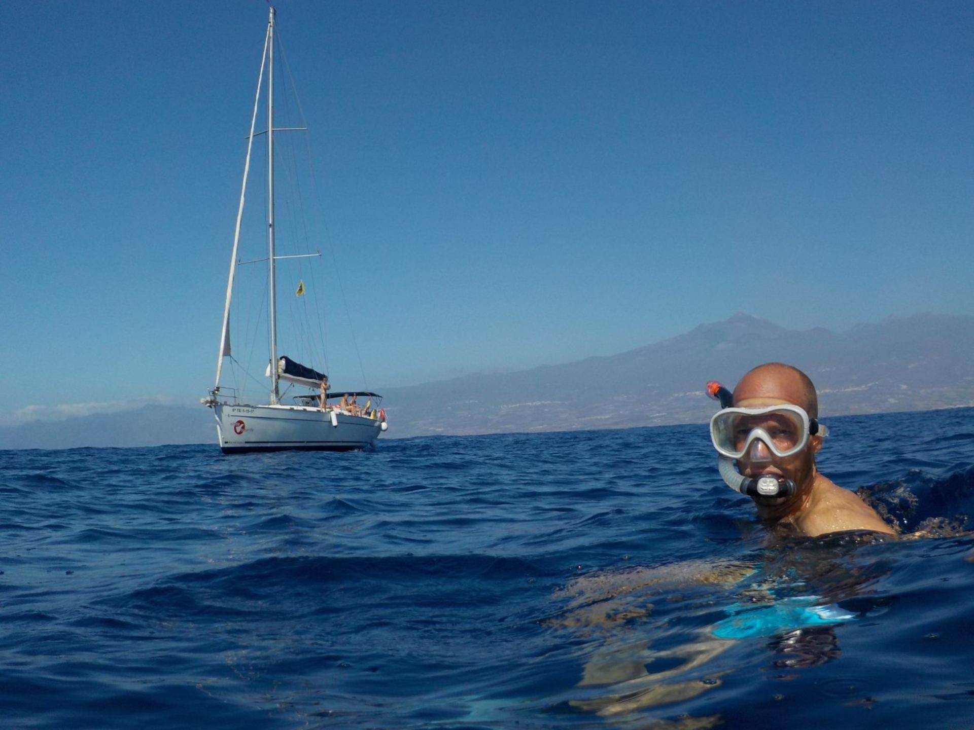 Whale and dolphin watch experience in Costa Adeje - Thumbnail 4