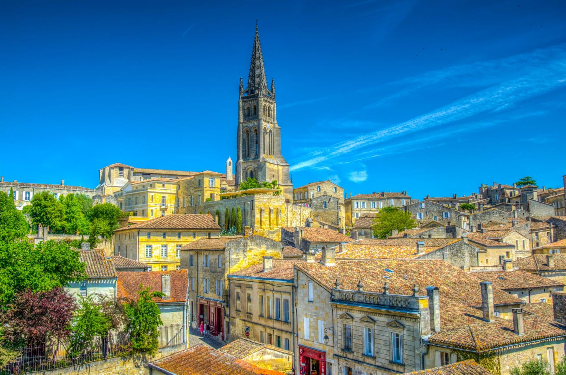 Saint-Emilion Wines and Village One Day Tour from Bordeaux - Image 1