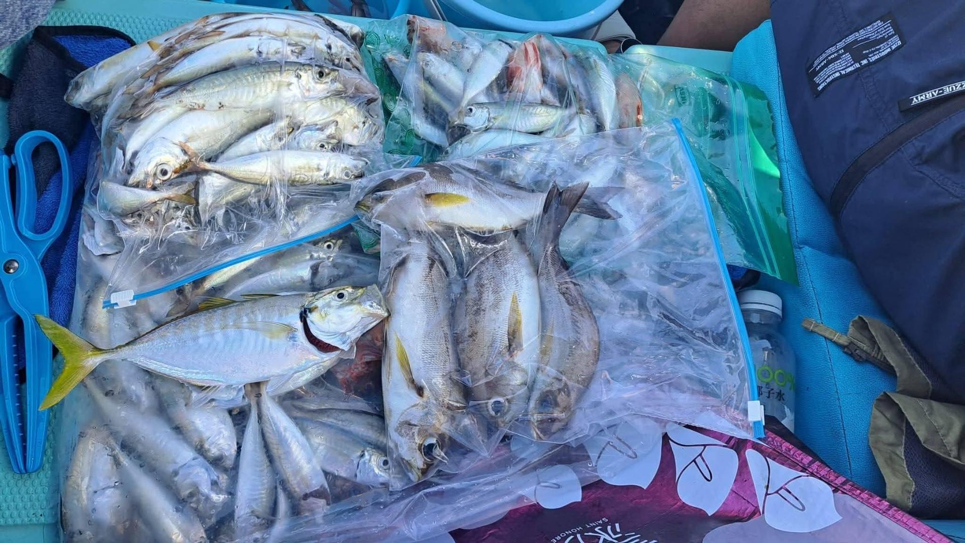 Ji Son Fishing Hong Kong Water Private Boat Fishing Group - Thumbnail 5