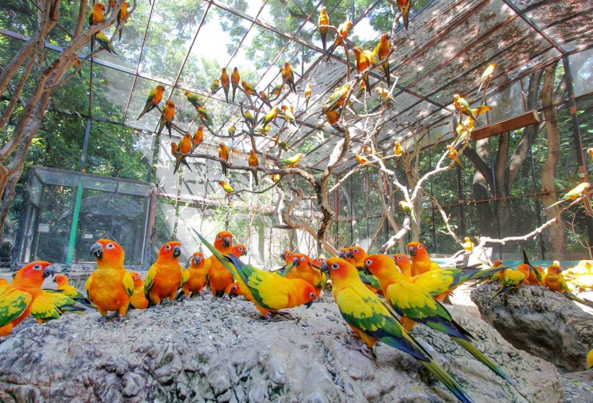 Bangkok Safari World, Botanist Activity Space Cafe, and Jodd Fairs  - Thumbnail 4