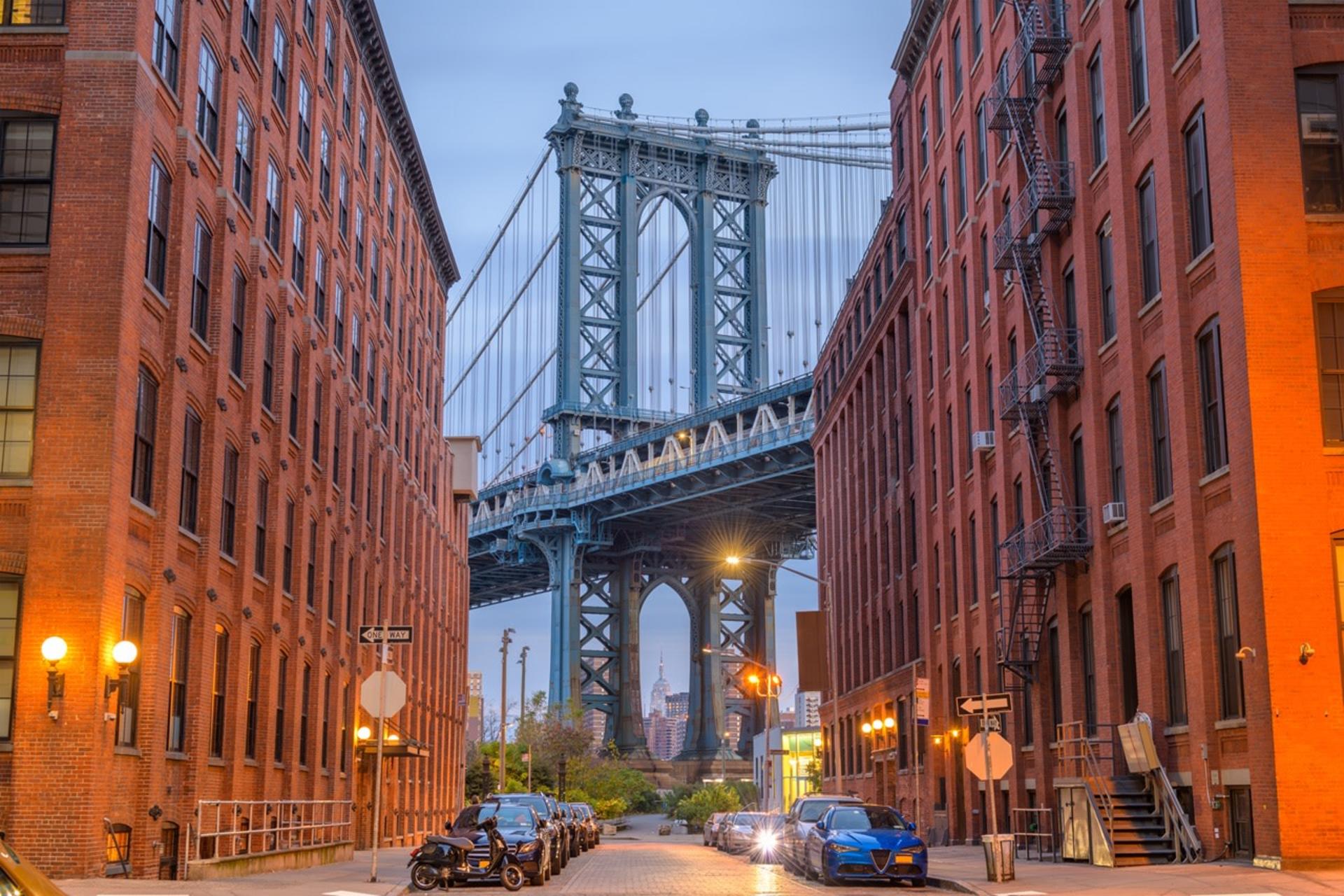 Brooklyn Arts & Views private half-day trip - Image 1