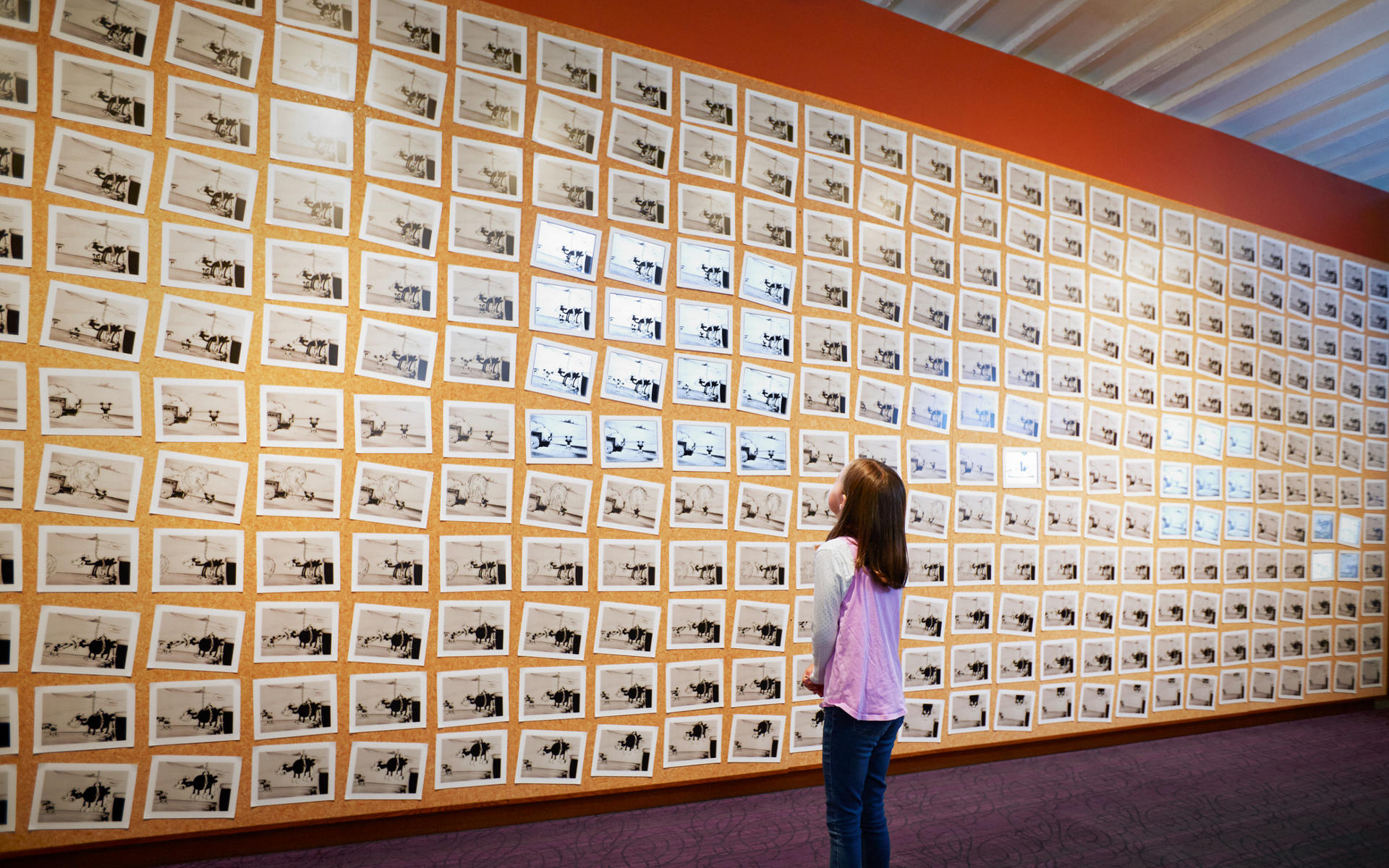 The Walt Disney Family Museum Admission in San Francisco - Thumbnail 3