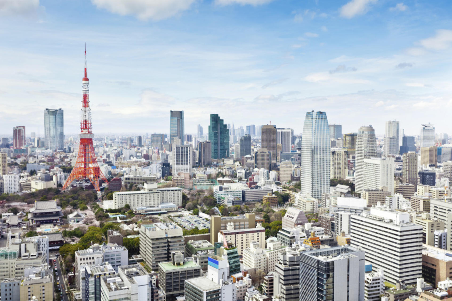 Tokyo 6hr Private Tour with Government-Licensed Guide - Image 1