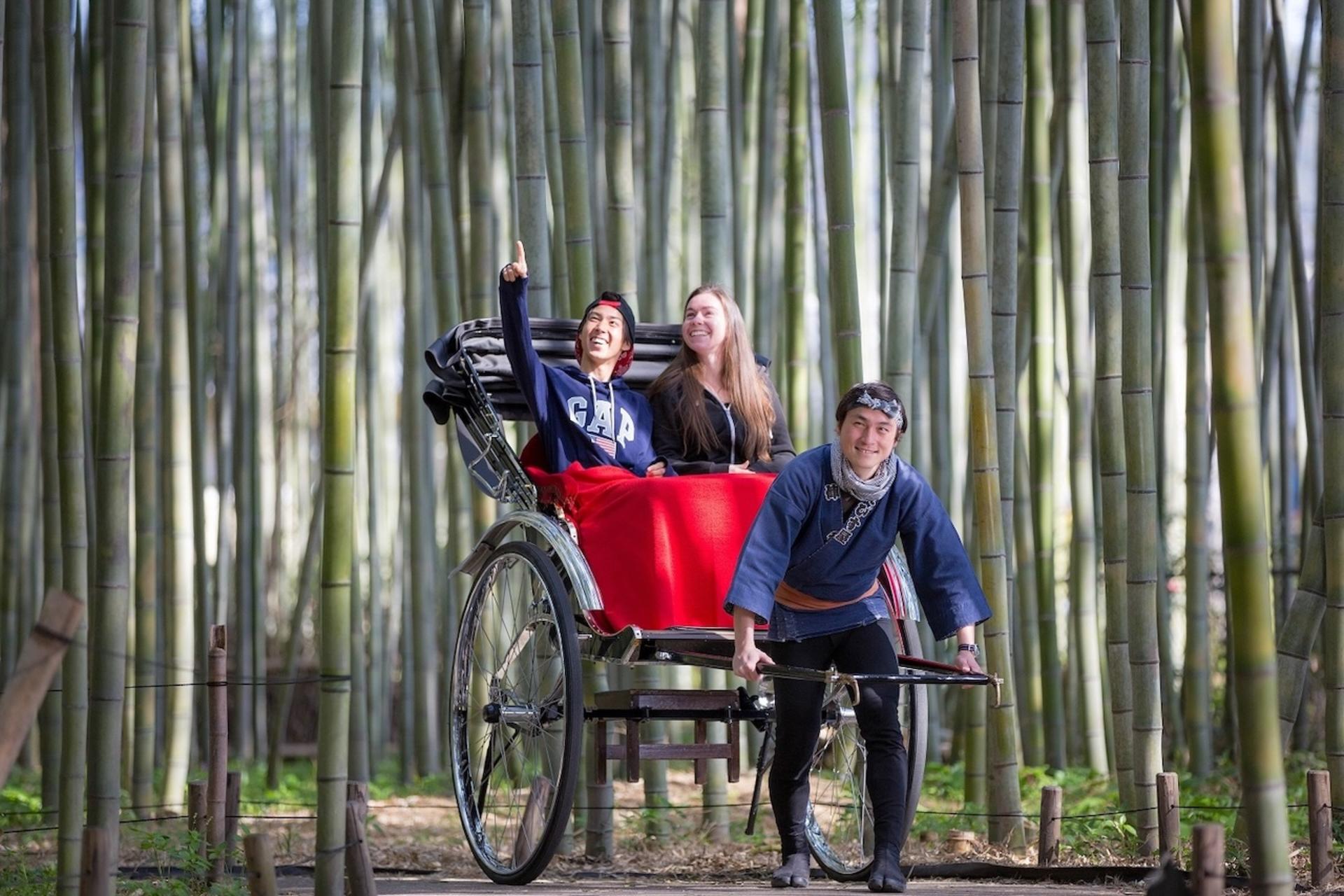 [Ebisuya Rickshaw] Private Charter Ride in Kyoto - Thumbnail 6