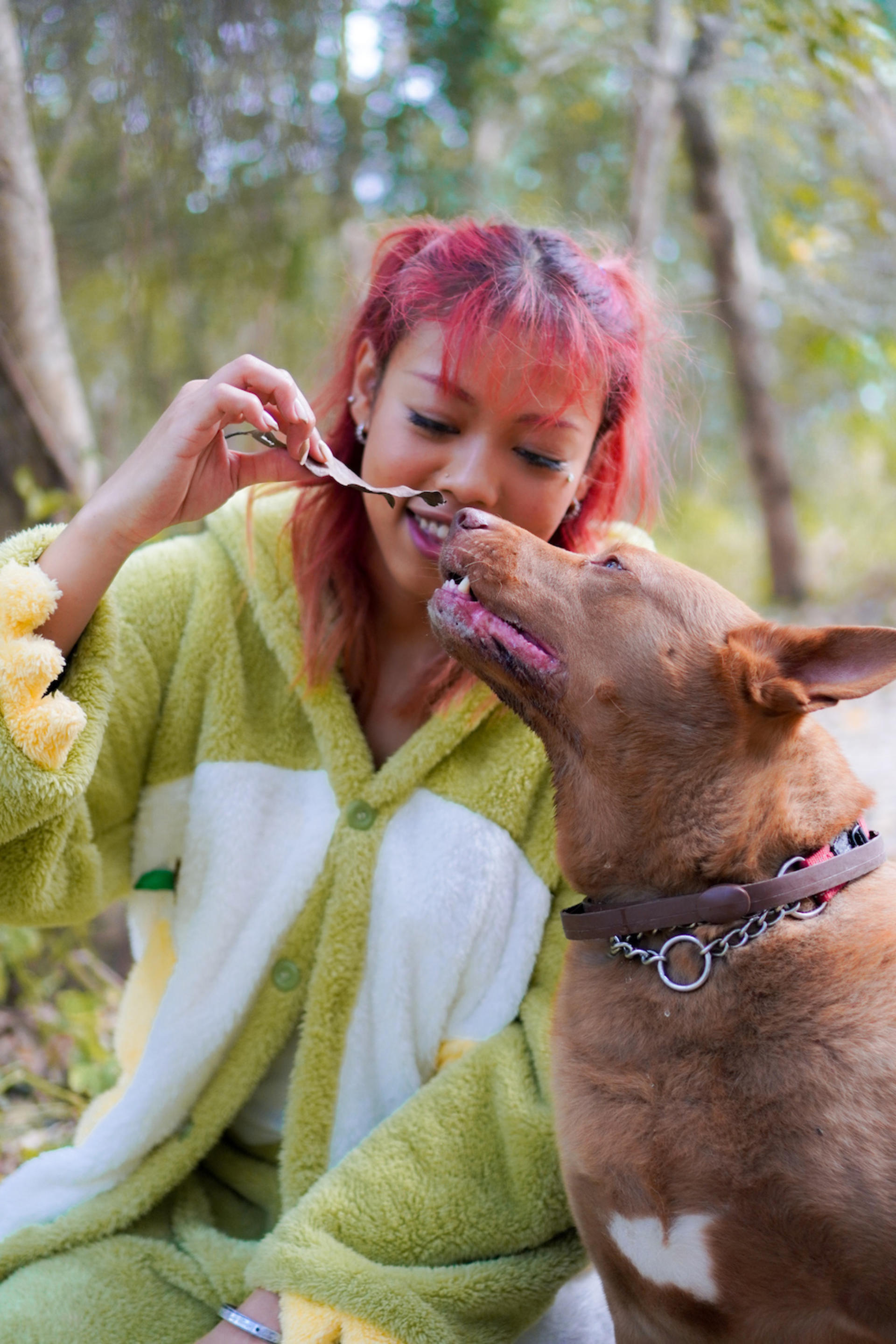 Kate.jpggg - Pet Photography (Custom Location - 2-Hour Shoot) - Thumbnail 10
