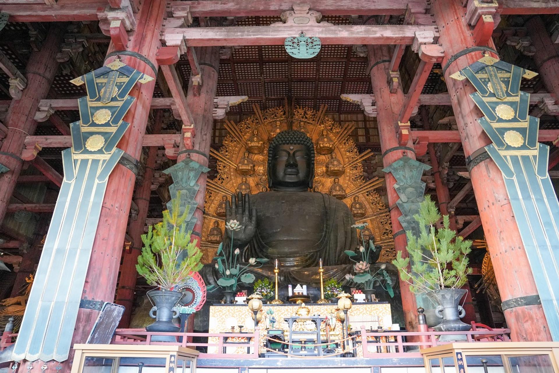 1-Day Nara & Osaka Private Highlights Day Tour  - Thumbnail 25