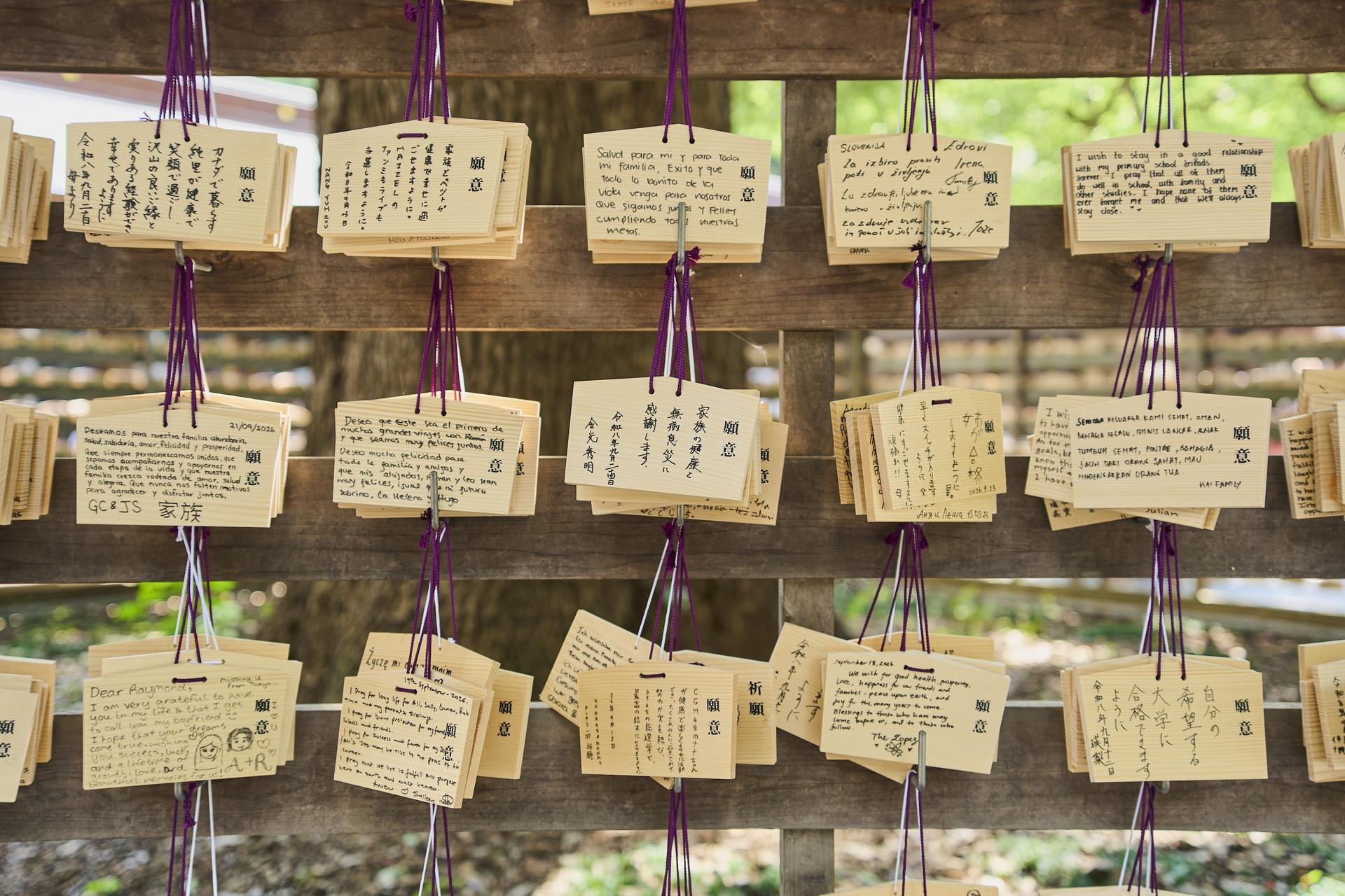 Tokyo: Meiji Shrine Walking Tour - Shintoism & Imperial System - Thumbnail 19