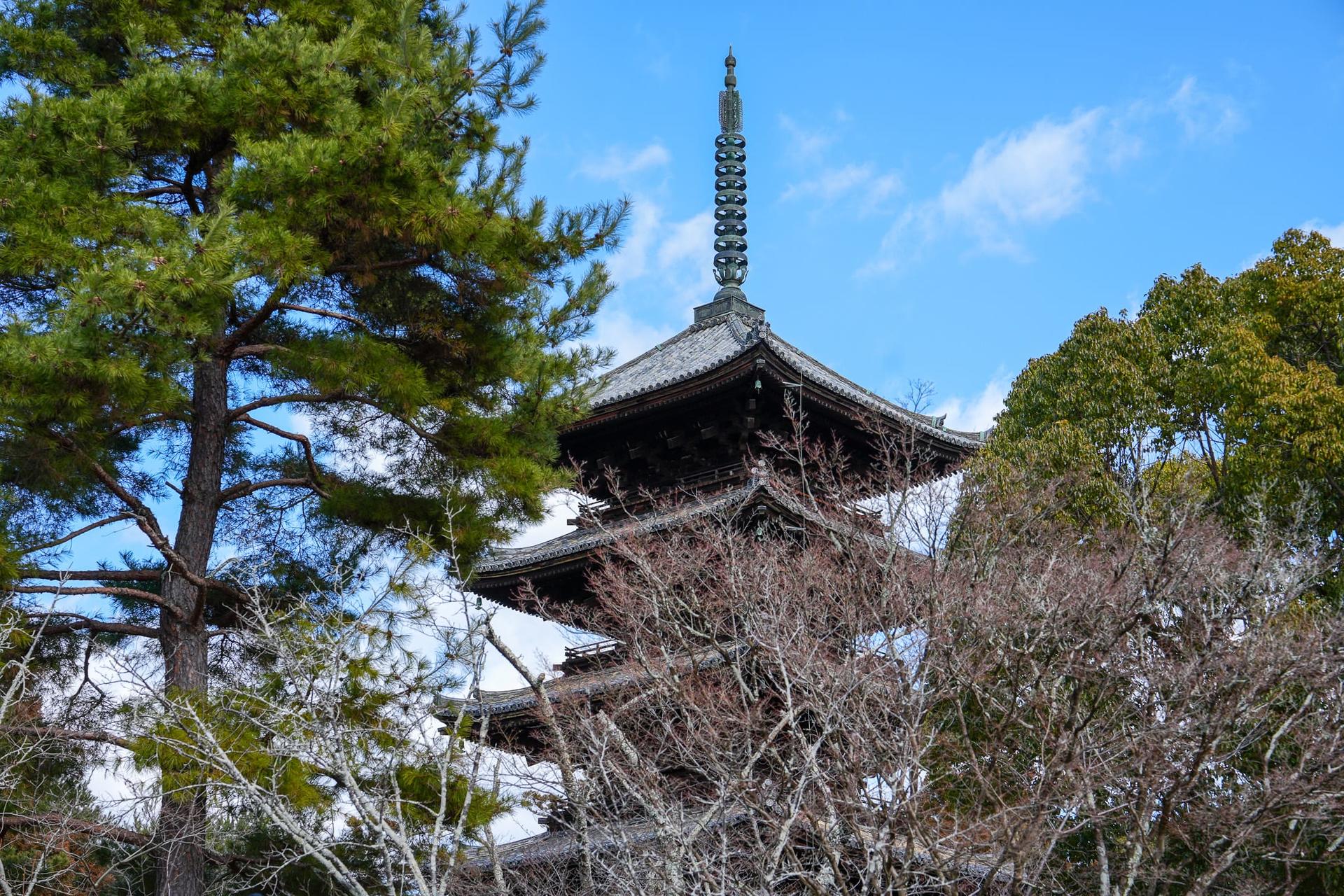 1-Day Kyoto UNESCO World Heritage Site Tour with a Private Car - Thumbnail 10