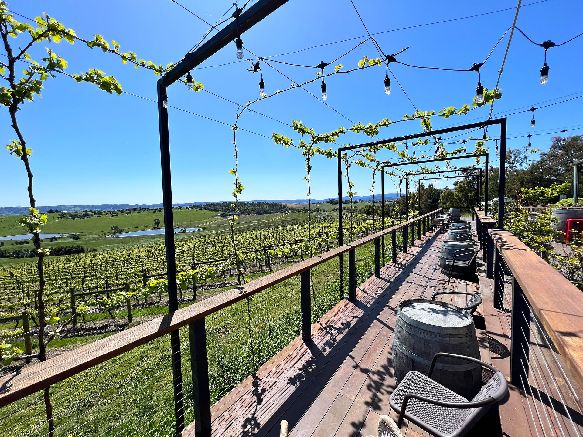 Relaxed Half Day Yarra Valley Wine Tour from Melbourne - Thumbnail 10