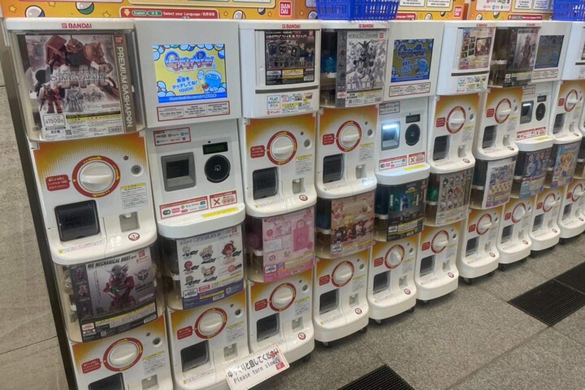 Tokyo Anime and Game Shopping Tour in Ikebukuro - Thumbnail 6