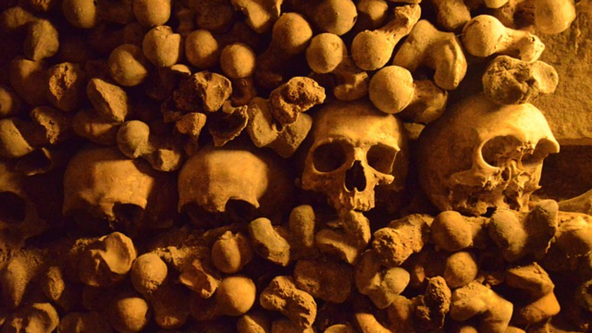Paris Catacombs Ticket and Seine River Cruise in Paris - Thumbnail 2