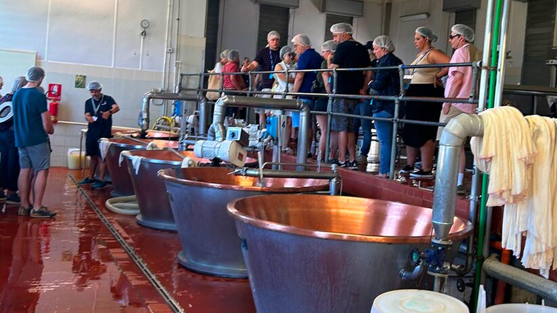 Parma Parmigiano-Reggiano Half-Day Big Group Tour - Thumbnail 5