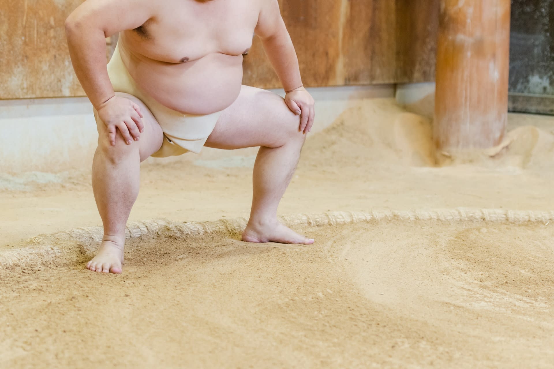 Sumo Morning Practice with Local Guide | Tokyo & More - Image 1