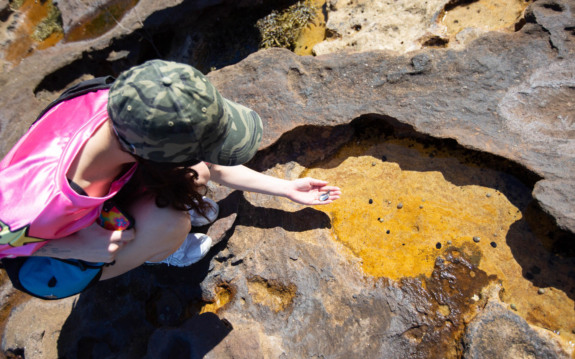 EcoFriendly Bushland and Beaches Walking Tour - Thumbnail 4