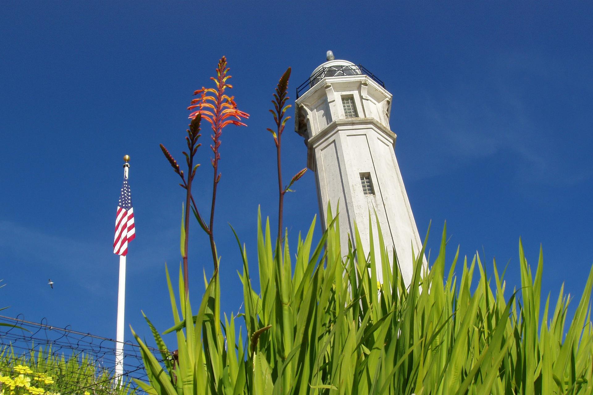 Visit Alcatraz + SF Electric Bike Tour (2-Day) - Thumbnail 13