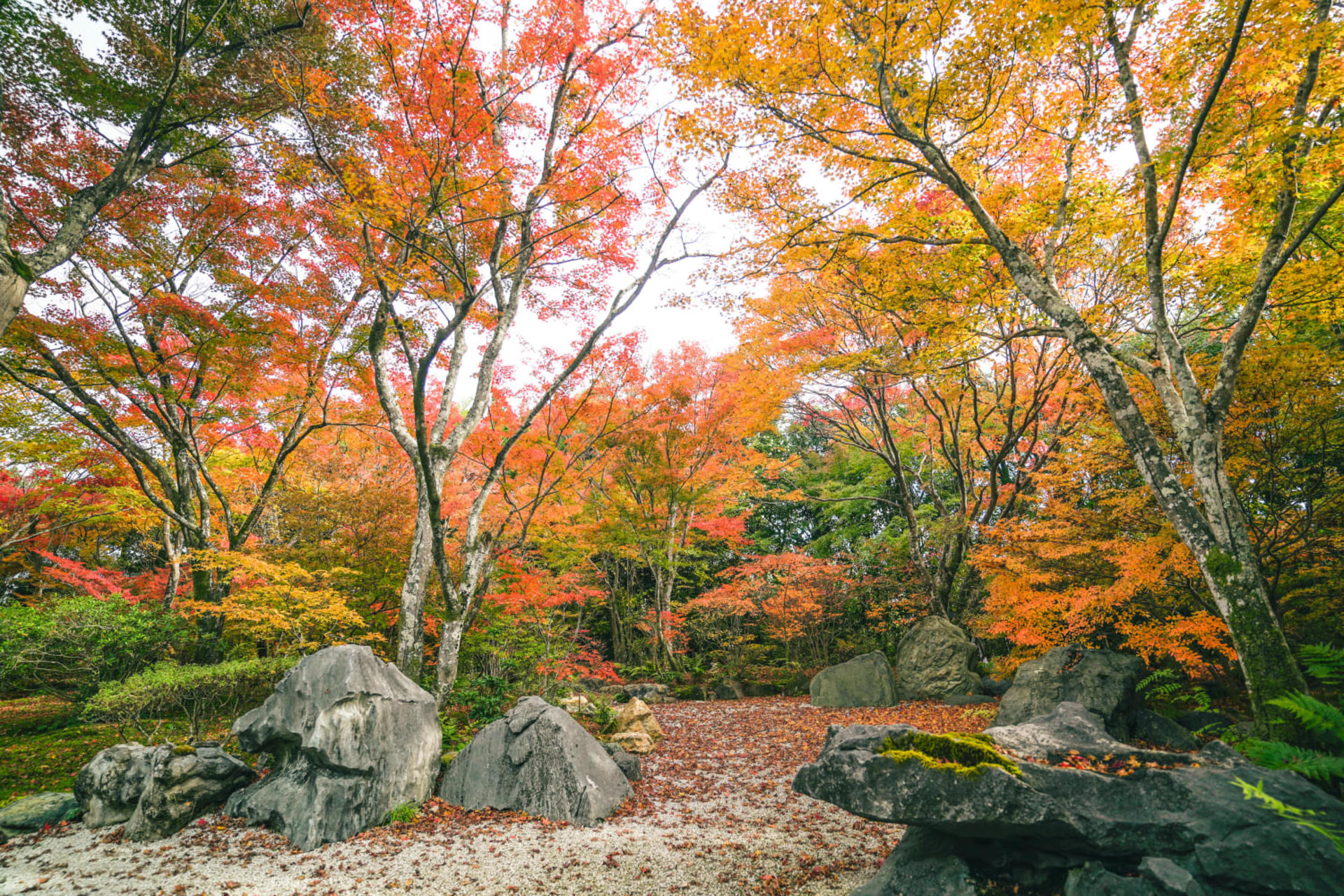Kyoto Arashiyama Bamboo Forest & Garden Half Day Guided Walking Tour - Thumbnail 4