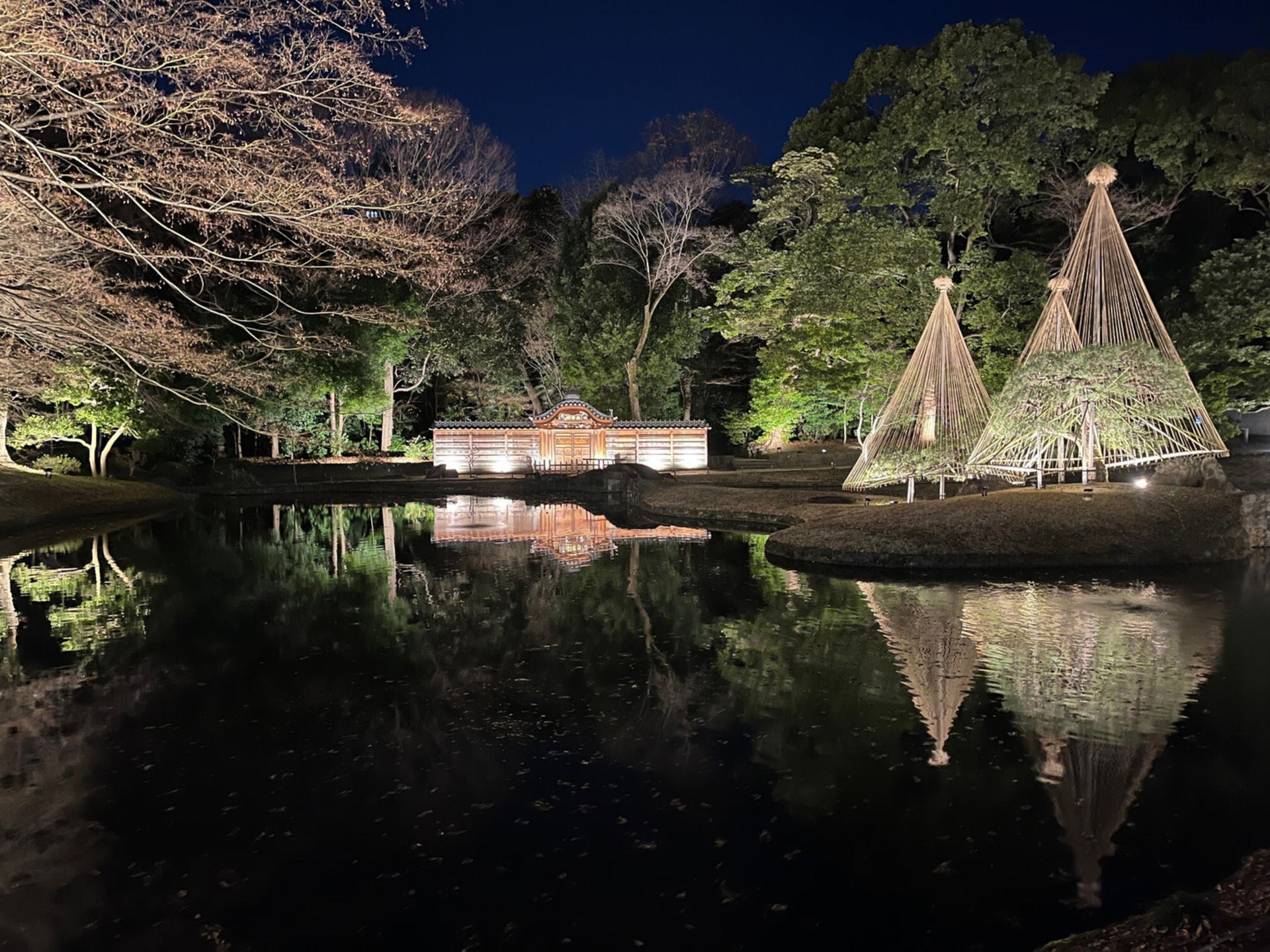 Special Evening Opening: Koishikawa Korakuen Park on an Autumn Night 2026 - Thumbnail 3