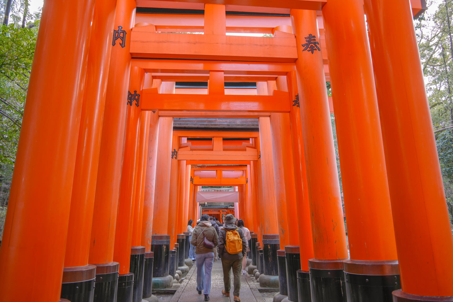 Kyoto: Nijo, Bamboo Grove, Golden Pavilion & Fushimi Inari Bus Tour - Thumbnail 5