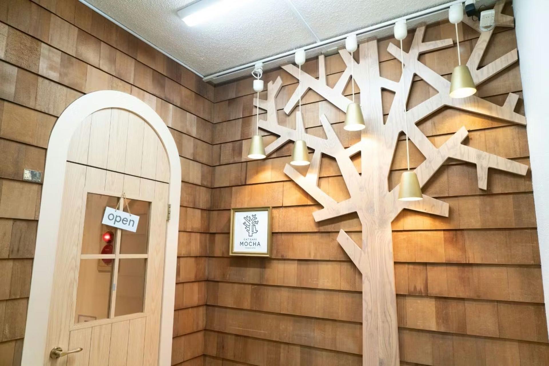 Cat Cafe MOCHA  (Ikebukuro Main Store) - Thumbnail 4