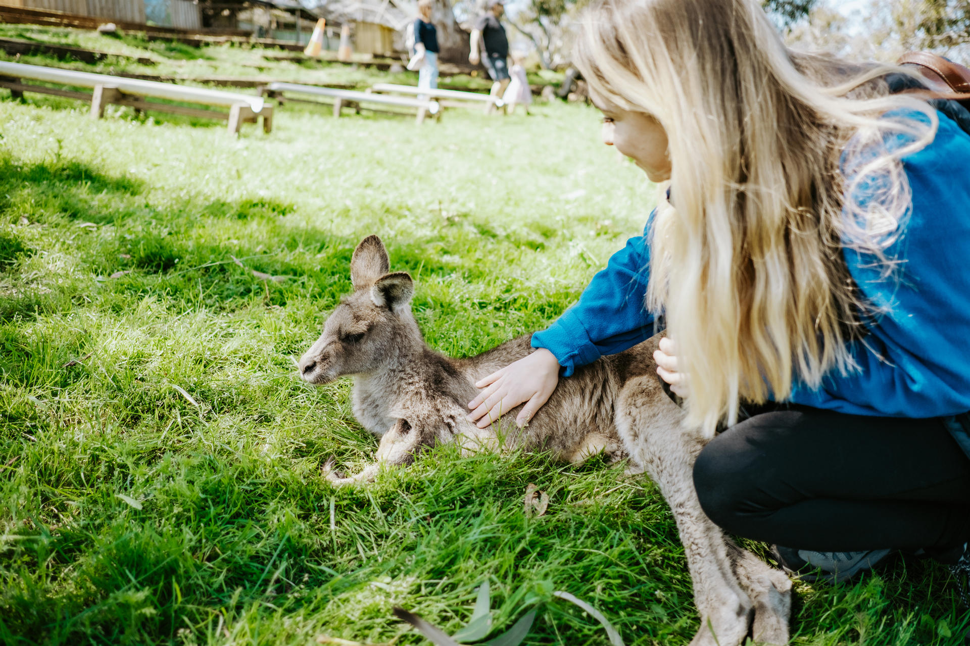 Mount Field, Bonorong Wildlife Sanctuary and Richmond Tour - Thumbnail 3