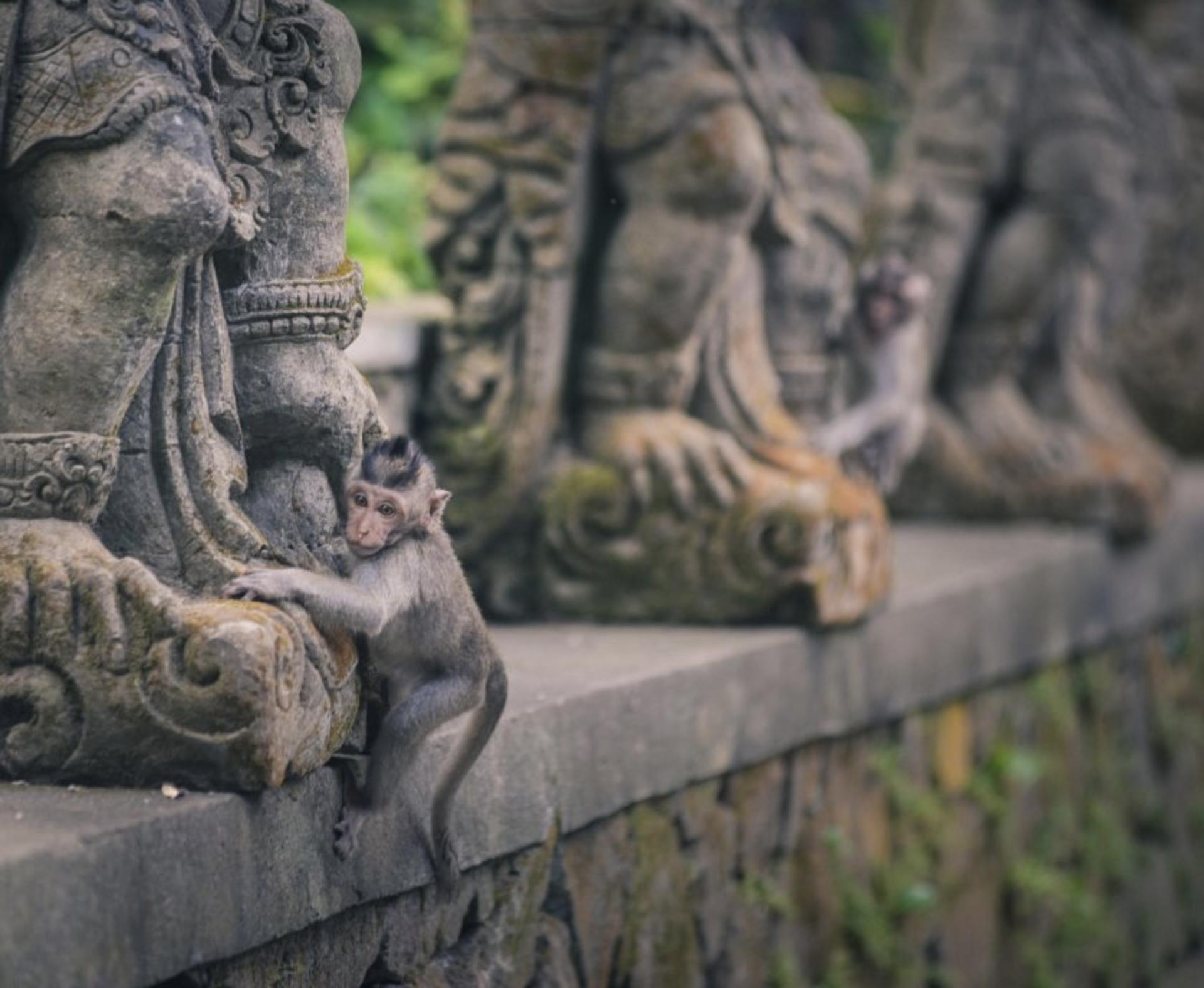 Sacred Monkey Forest Ubud Ticket - Thumbnail 12