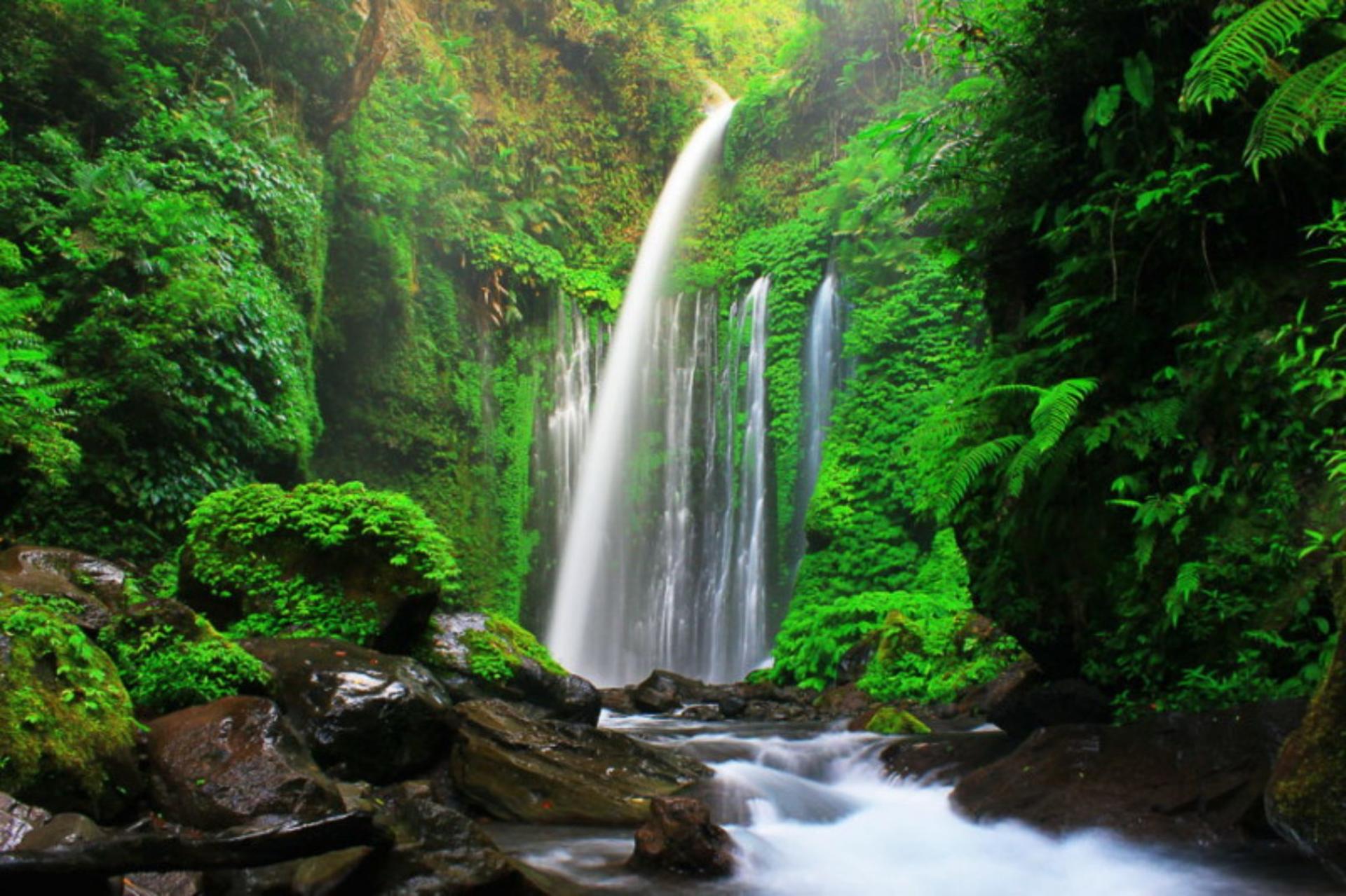 Lombok Sembalun Highland Private Hiking Tour - Thumbnail 4