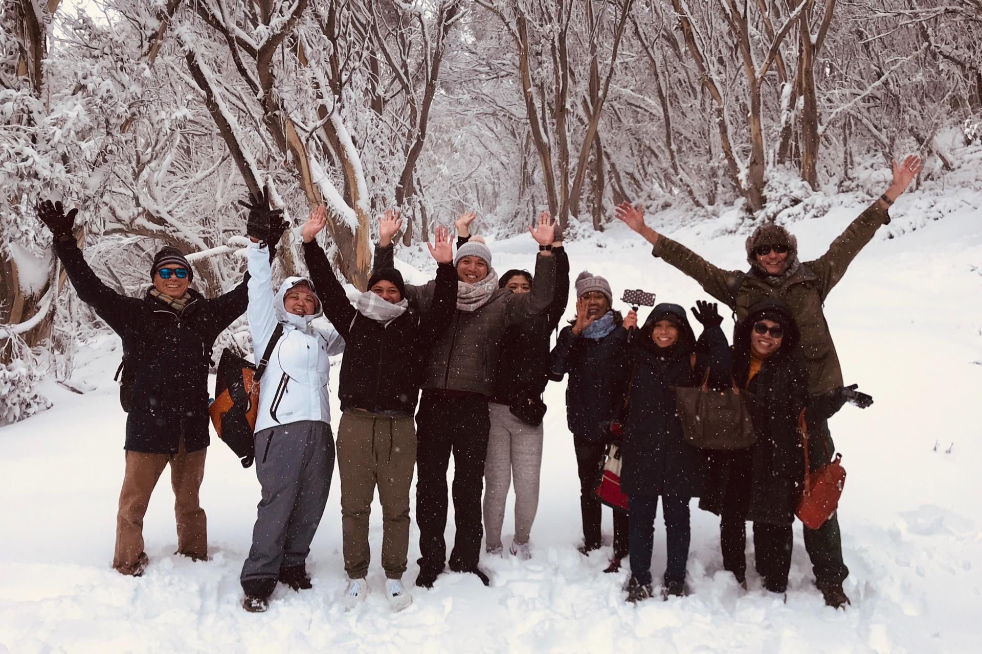 Mt Buller Small Group Boutique Tour with Exclusive Circuit Walk - Thumbnail 15