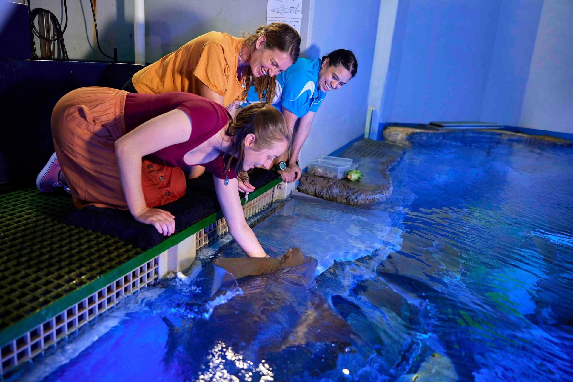 Marine Life Encounter Tour at Cairns Aquarium - Image 1