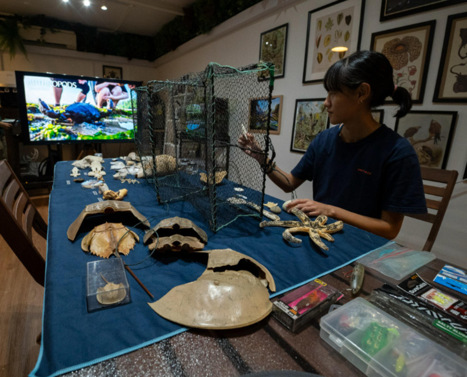 Stories from the Shore: Artefacts of Singapore’s Coastal Past - Thumbnail 12