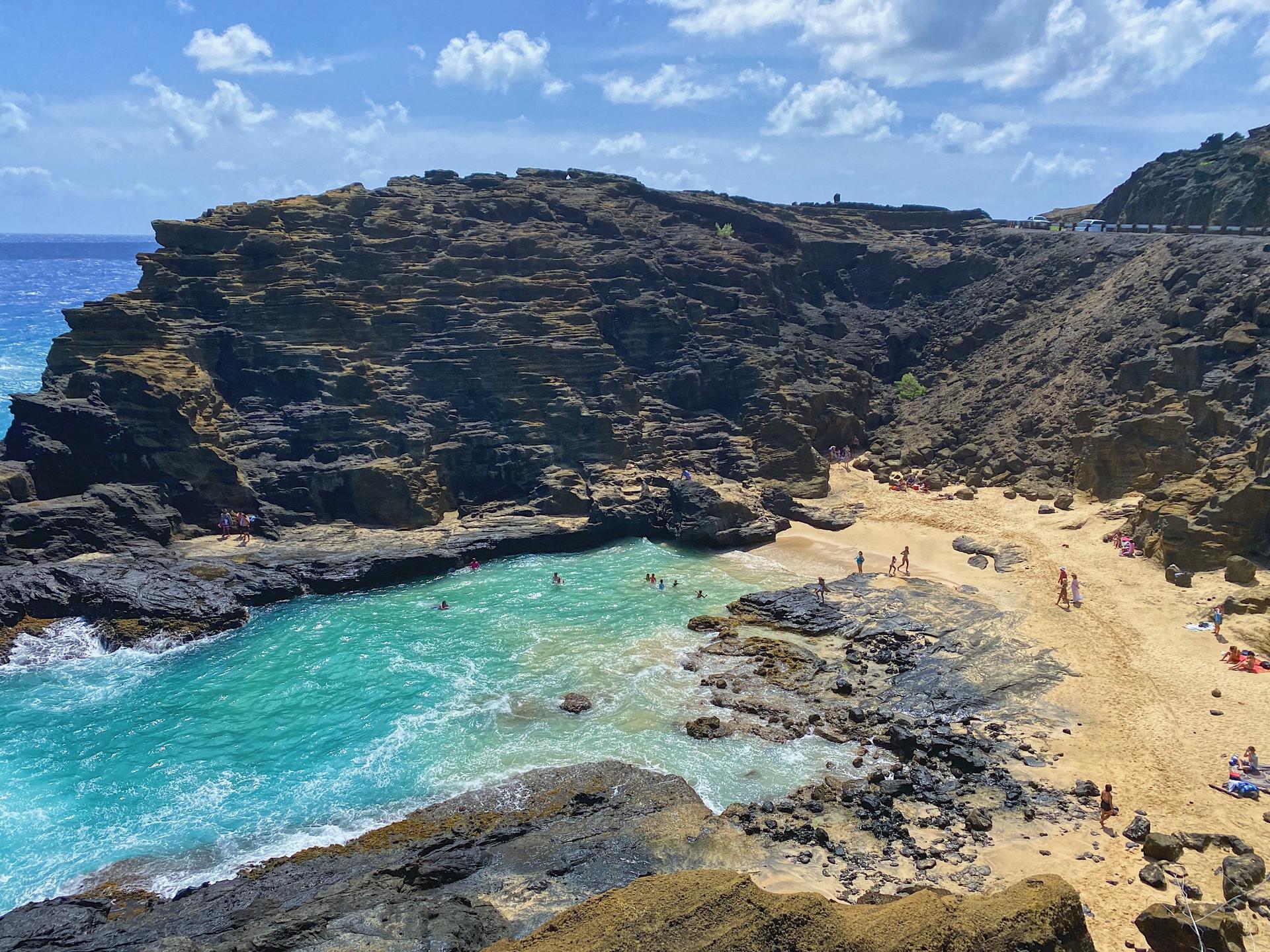 Oahu Island and North Shore Half Day Trip - Image 1