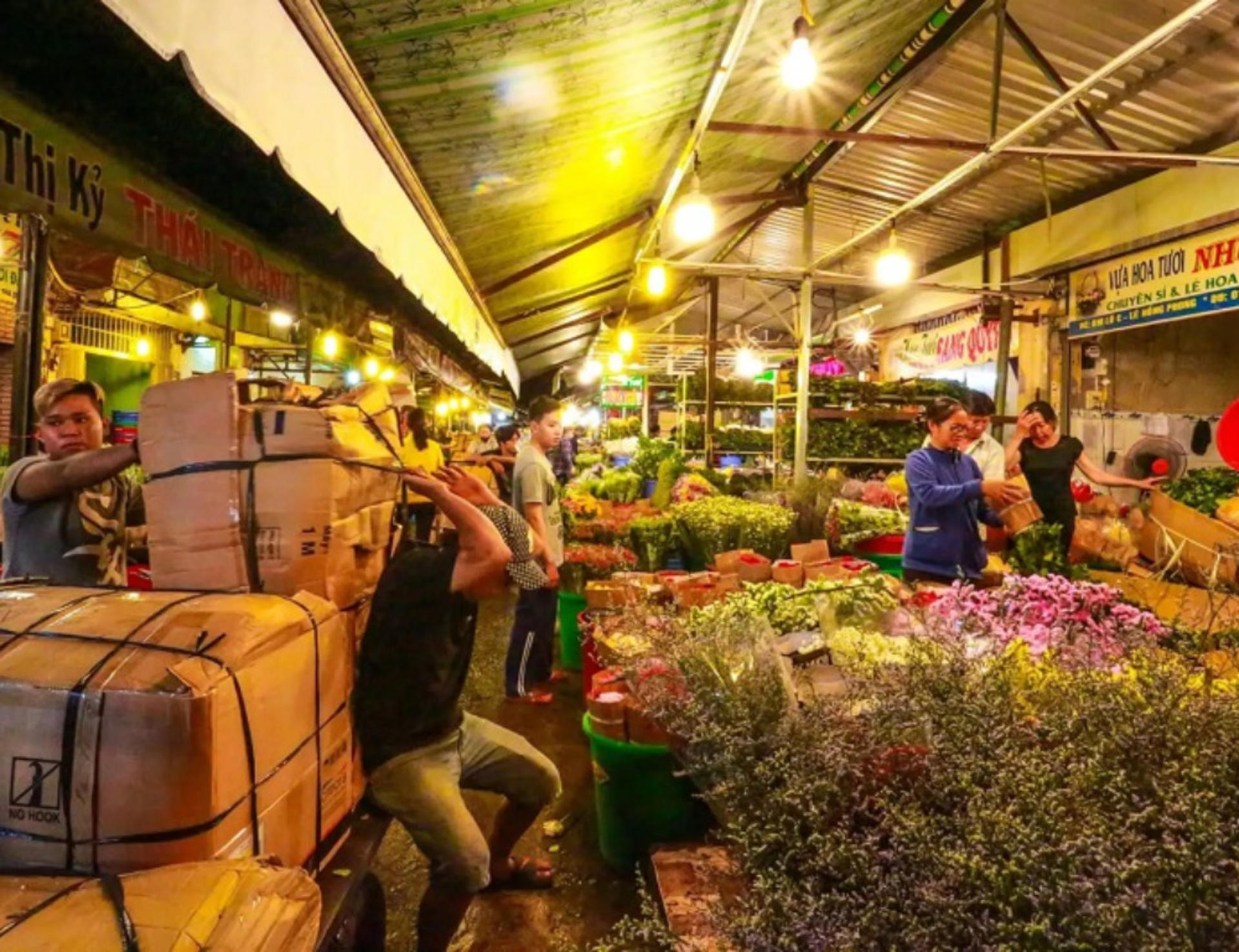Ho Chi Minh Nightlife Half-Day Guided Tour - Thumbnail 9
