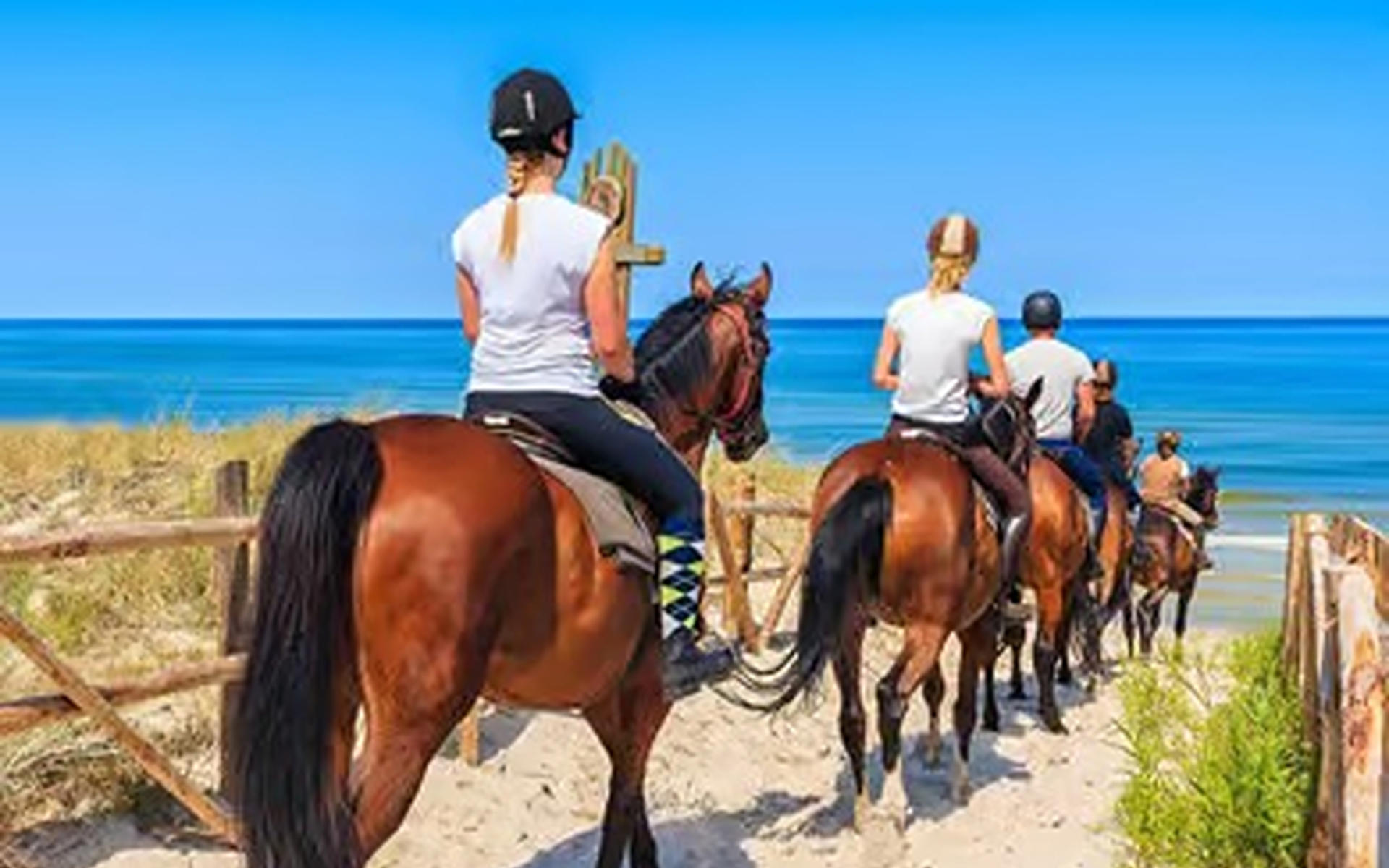 Antalya Horse Riding Experience - Thumbnail 2