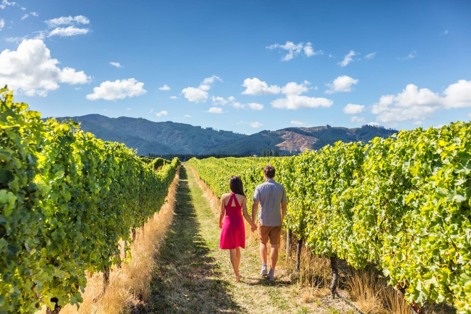 Muir Woods, Sonoma and Napa Wine Country Day Tour from San Francisco - Image 1
