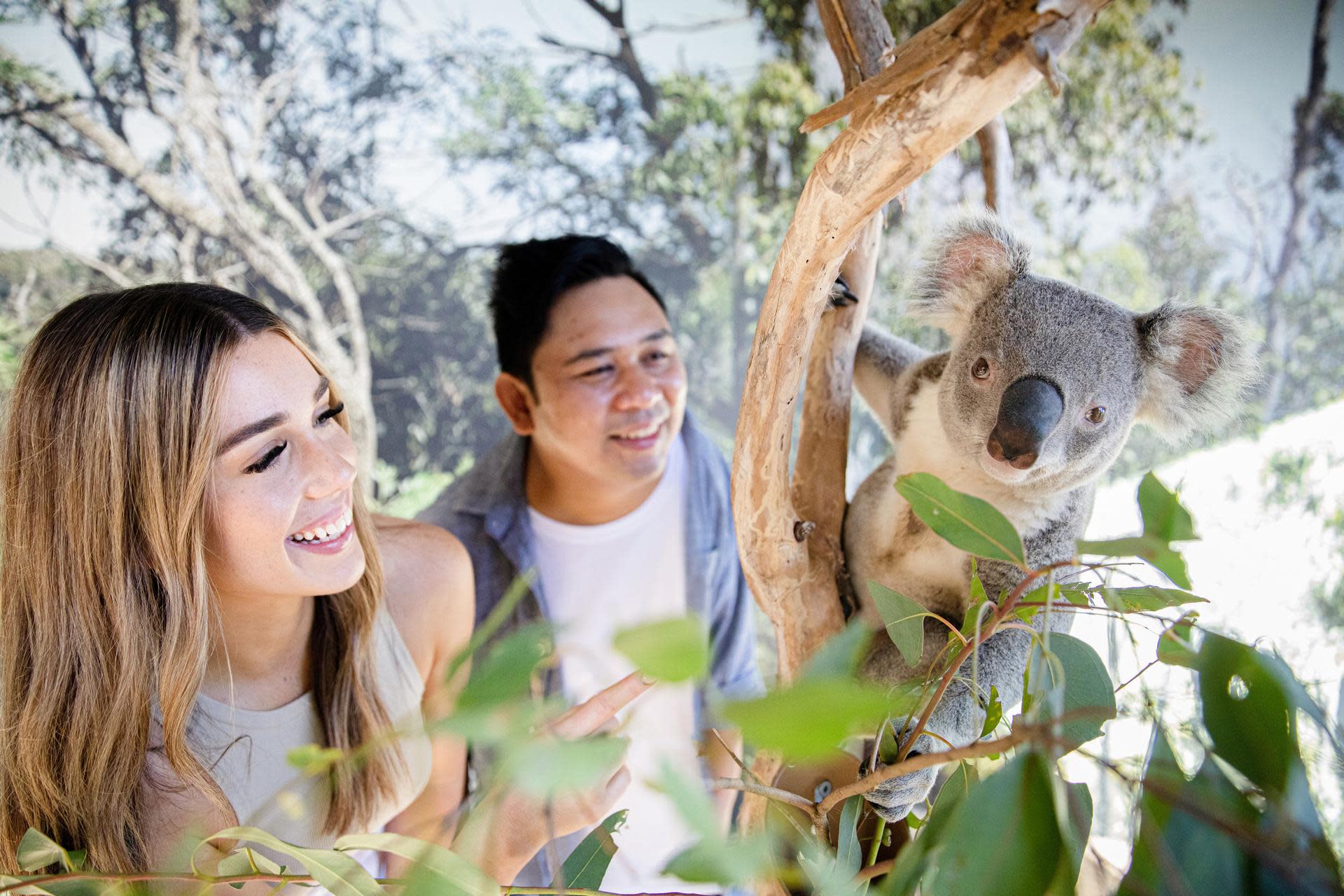 Blue Mountains Zoo, Koala, Leura & Scenic World Mandarin Tour - Thumbnail 2