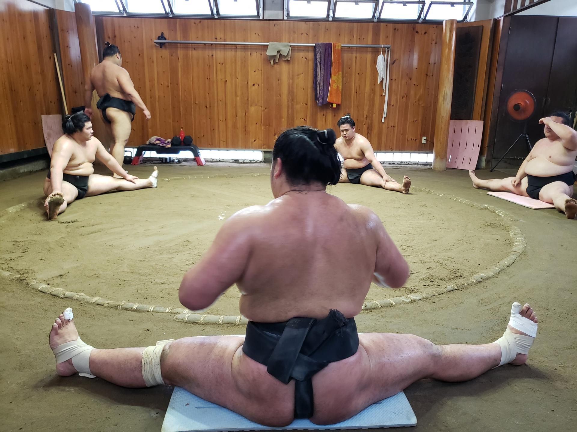 Tokyo Sumo Practice Viewing Guided Tour and Photo with Sumo Wrestler - Image 1