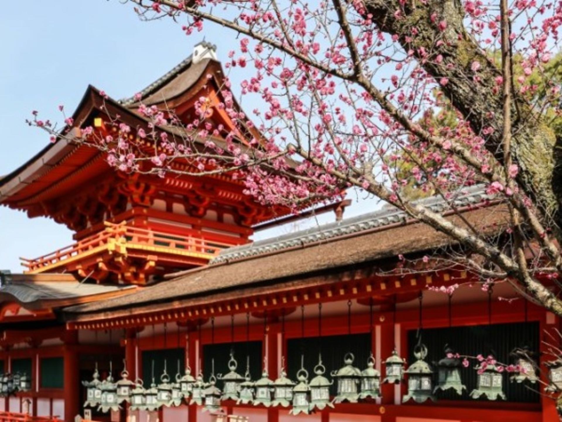 Classic Panoramic Tour: A Day Trip to Kyoto and Nara to Encounter Adorable Deer - Thumbnail 10
