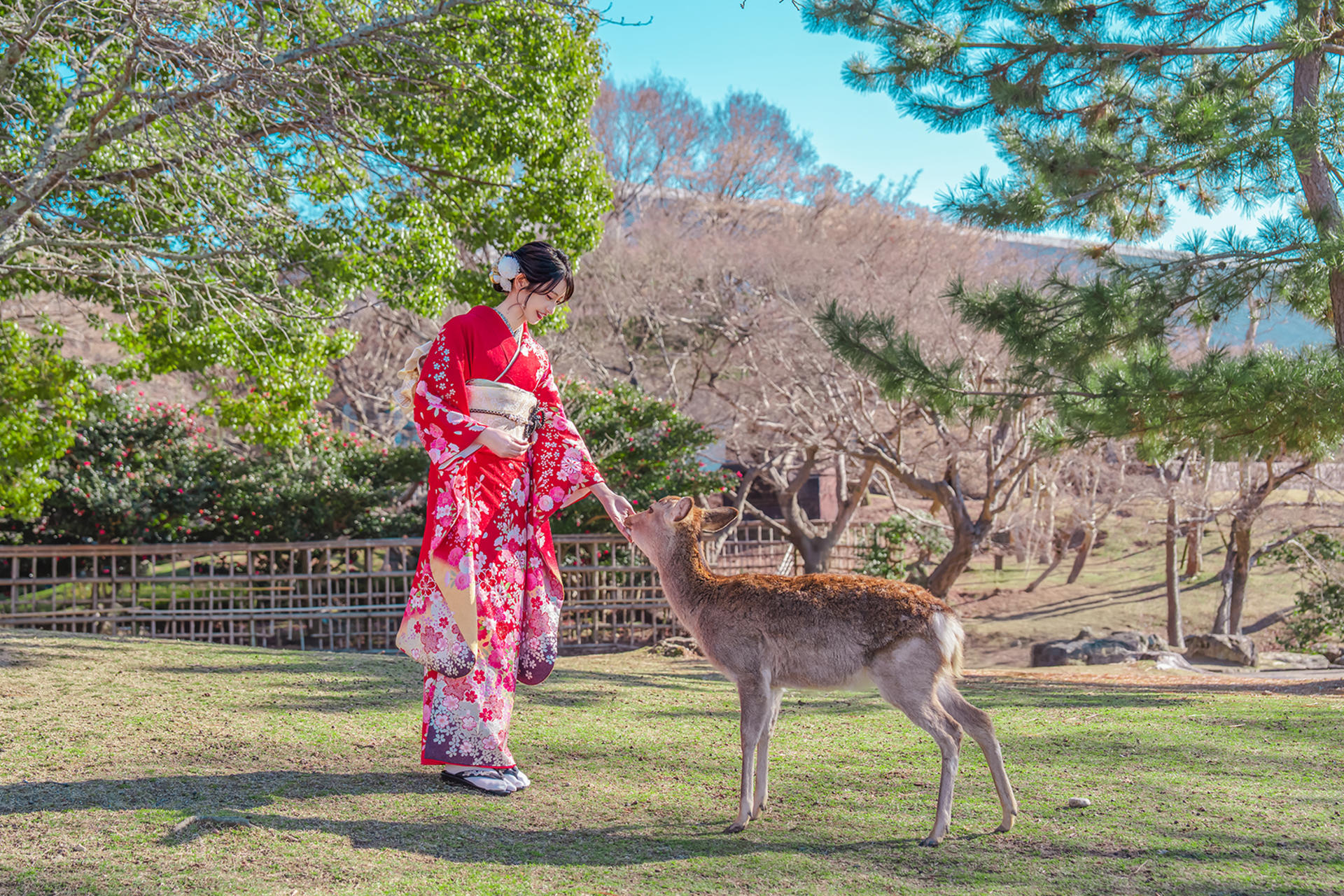 Kimono/Yukata Rental Experience (Osaka/Provided by Kawaii Osaka) - Thumbnail 6