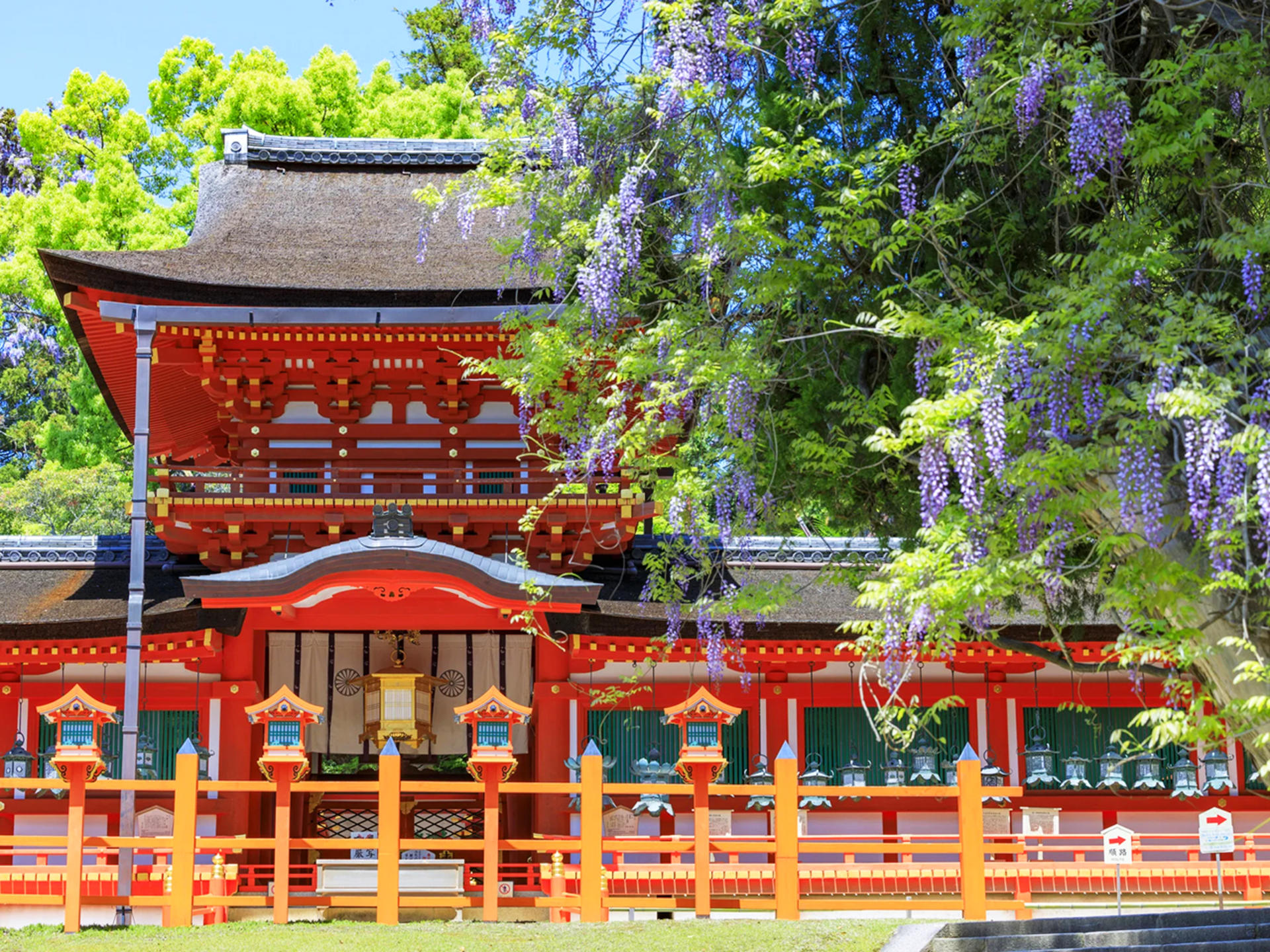 Kyoto Nara Day Trip │ Kiyomizu-dera Temple + Fushimi Inari-taisha Shrine + Nara Park (Departing from Osaka/Kyoto) - Thumbnail 21