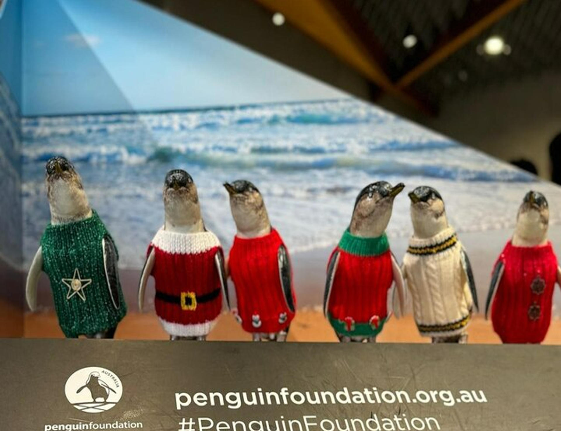 Melbourne Puffing Billy & Penguin Parade Private Tour - Thumbnail 12