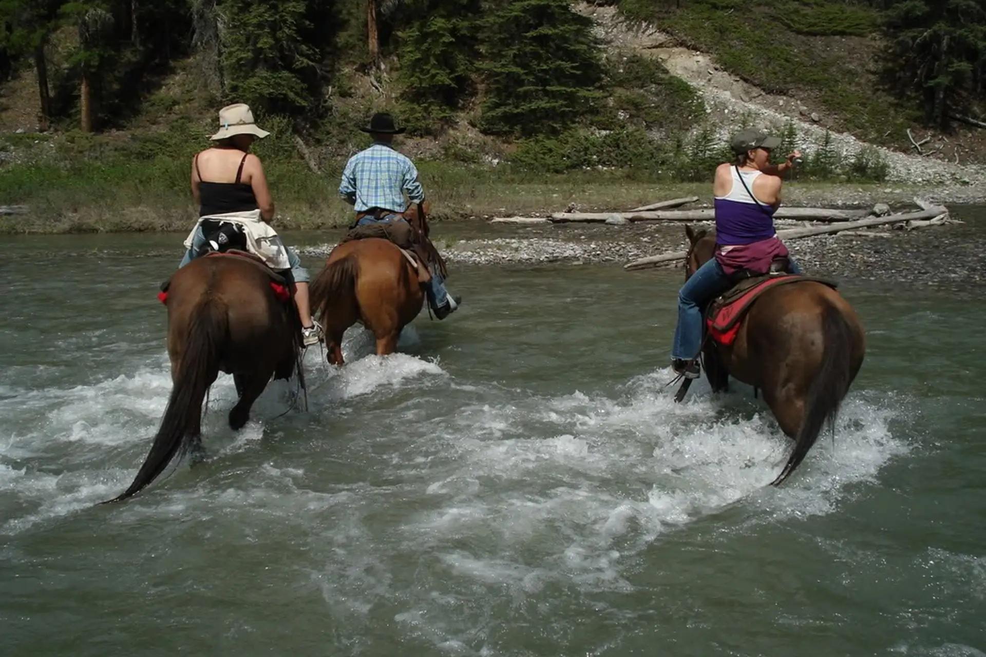 Horseback Riding Experience in Marmaris National Park - Thumbnail 7