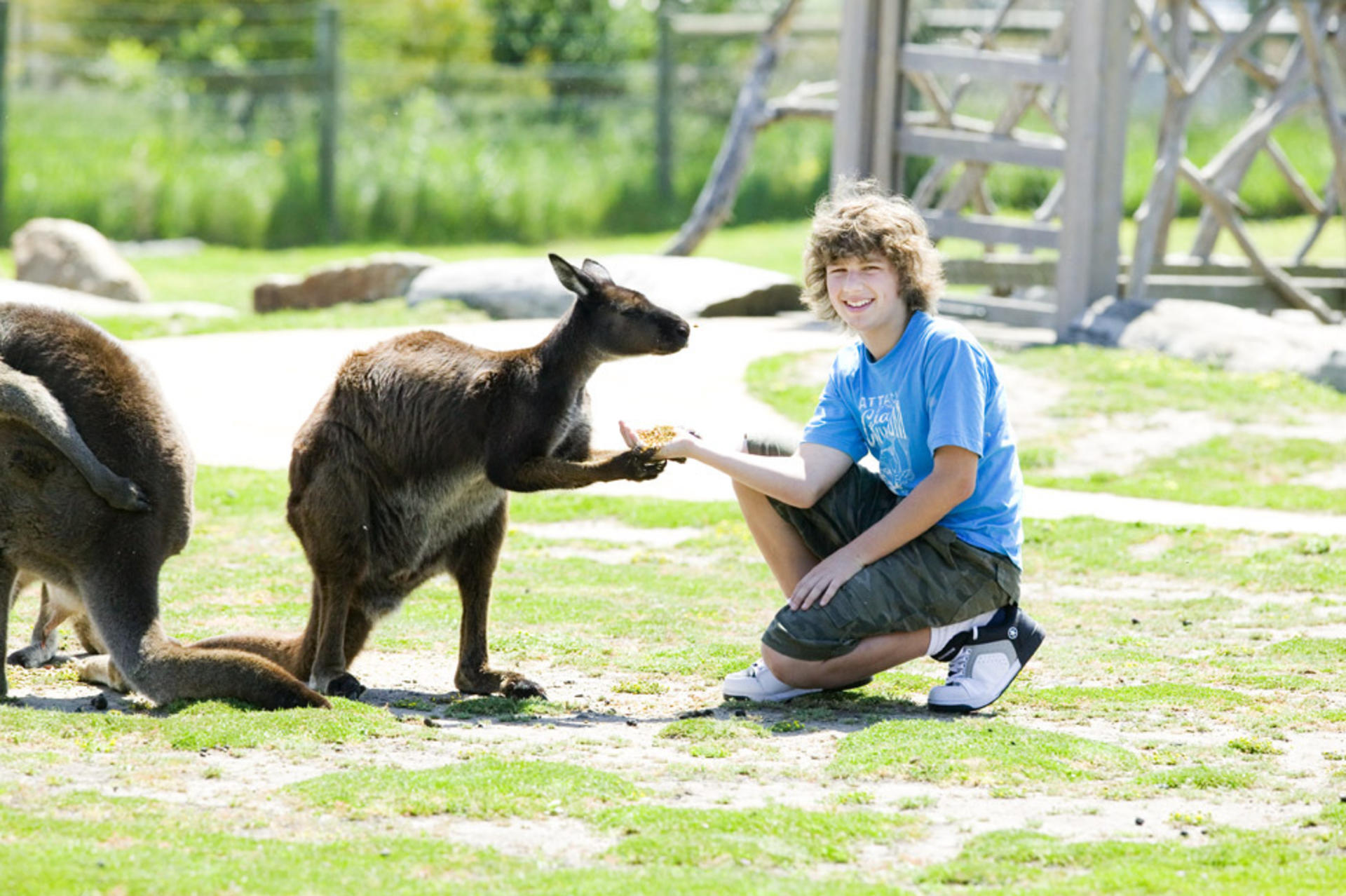 Melbourne Phillip Island Full-Day Guided Tour with Penguin Parade - Thumbnail 4