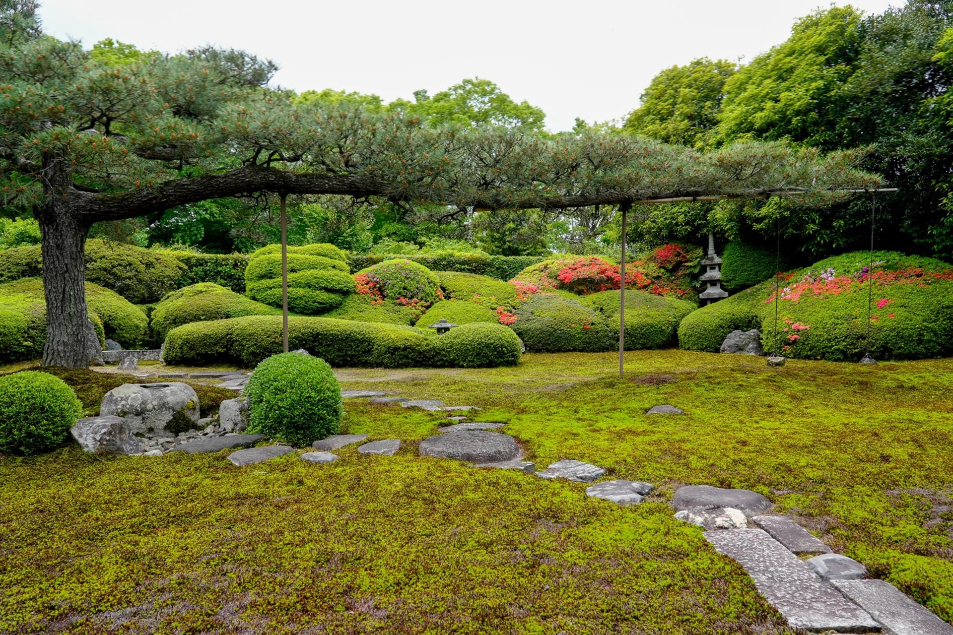 Kyoto Exclusive Temple Maiko Dance Zen Garden and Tea Experience - Thumbnail 15