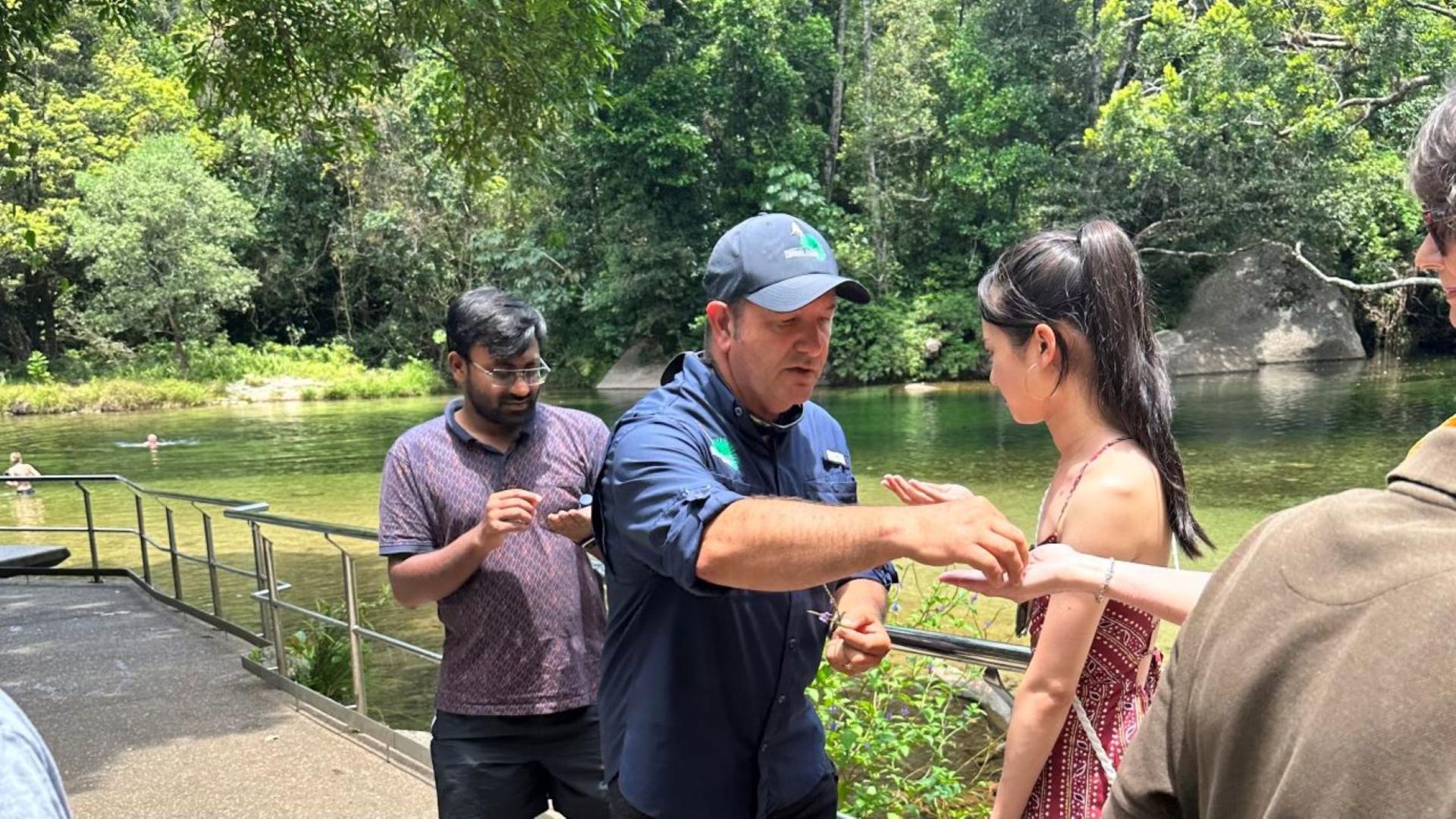 Cairns Full-Day Cassowary Coast Cultural Waterfall Tour - Thumbnail 5