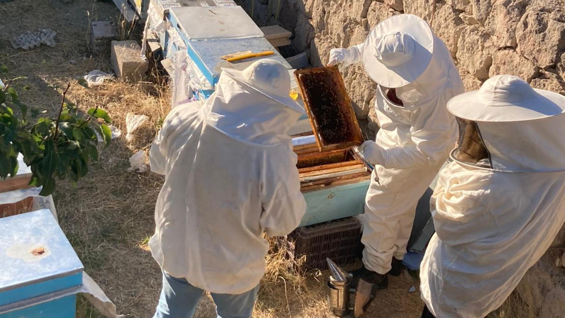 Beekeeping Experience with Honey Tasting in Cappadocia - Thumbnail 12
