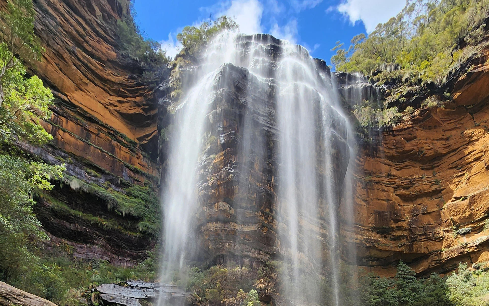 Sydney Blue Mountains Full-Day Small Group Waterfall Tour - Thumbnail 7