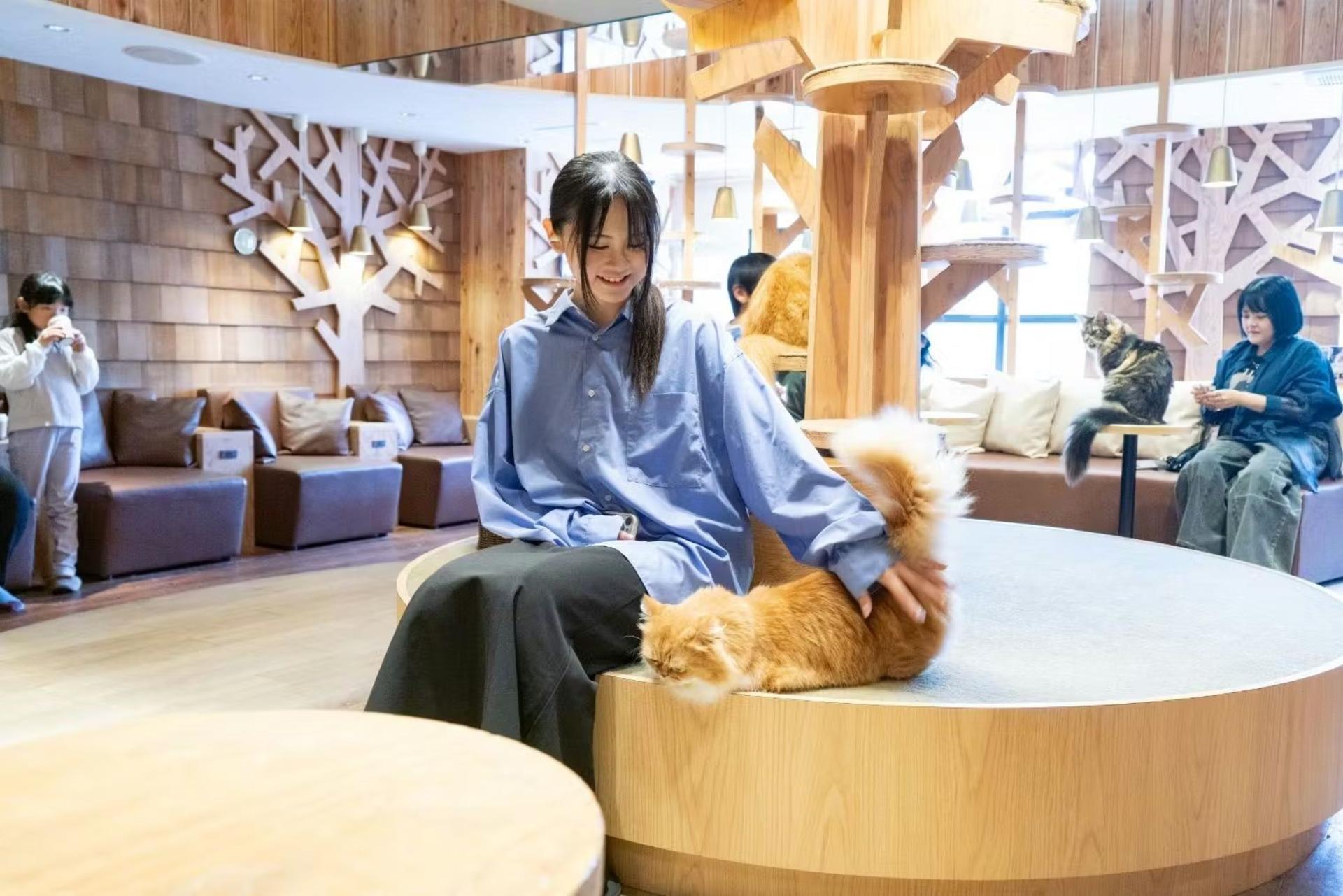 Cat Cafe MOCHA  (Ikebukuro Main Store) - Thumbnail 2