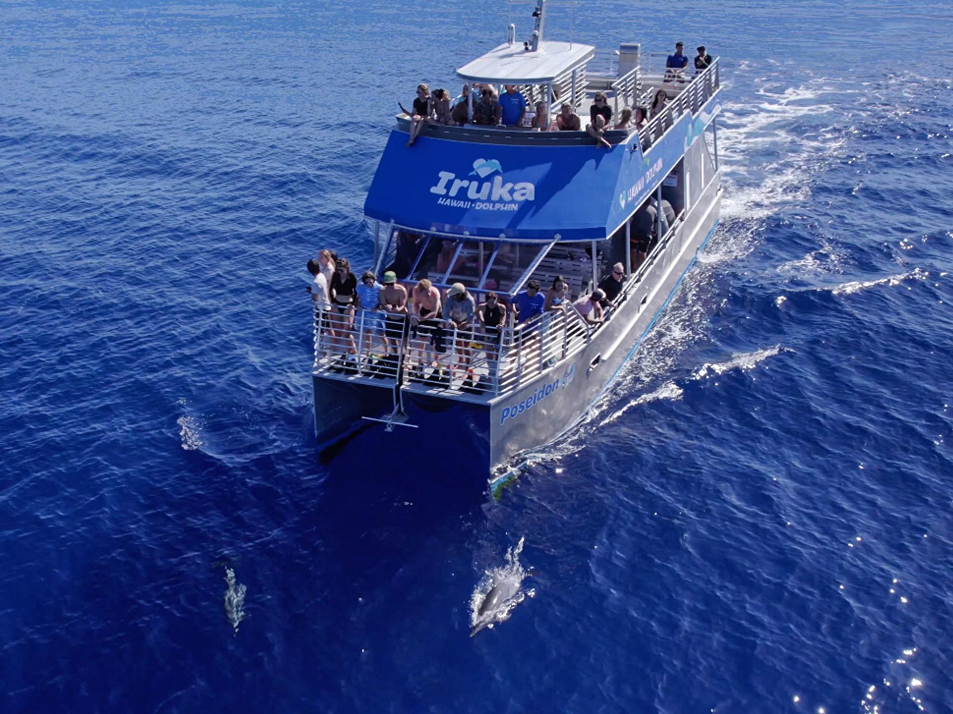 Dolphin Watching and Snorkel with Water Activities in Oahu - Image 1