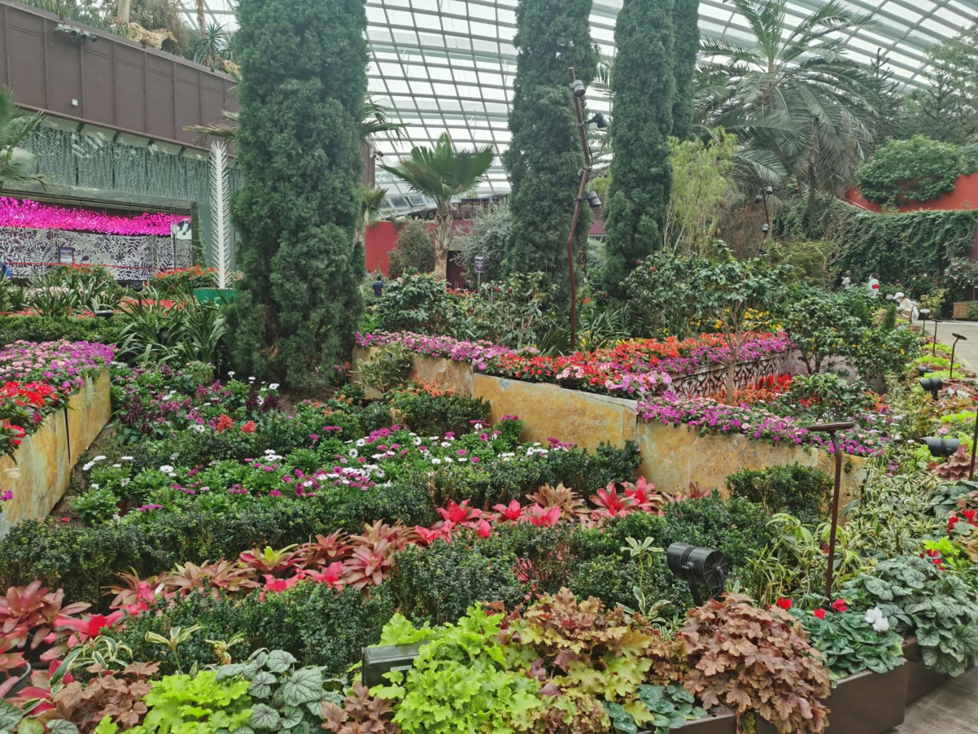 Singapore Gardens by the Bay & Marina Bay Sands Half-Day Tour with Dinner - Thumbnail 2